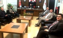 Damızlık Anadolu  Arısı yaygınlaştırılacak