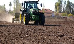 Çorum'da kuraklık arpa ekimini artırdı