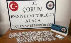266 adet sentetik ecza hapı ele geçirildi
