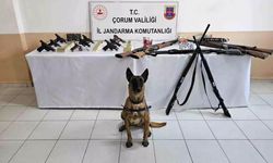 Çorum'da düğün magandalarına operasyon : 11 gözaltı