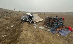 Feci kazada can verdi