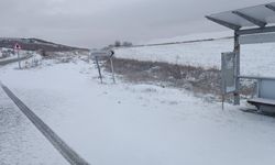 Çorum'un bu ilçesinde kar sevinci