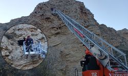 Uçurumda mahsur kalan keçileri itfaiye ekipleri kurtardı