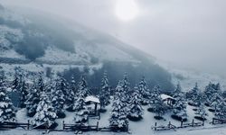 Komşuda kar sevinci