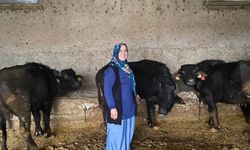 Antalya'dan Çorum'daki köyüne döndü çiftlik sahibi oldu