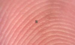 Dünyanın en küçük robotu üretildi