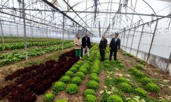 Çorum'un bu ilçesinde 2 bin metrekare büyüklüğünde modern sera kuruldu