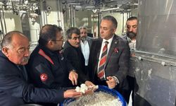 Tahtasız Ahlatcı'nın fabrikayı gezdi