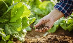 Gıdada sürdürülebilirlik için uluslararası AR-GE projeleri desteklenecek