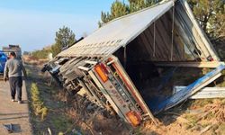 5 büyükbaş hayvan telef oldu