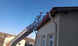 Çatıda mahsur kalan kediyi ekipler kurtardı
