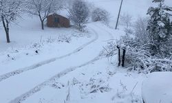 Çorum'da ceviz bahçeleri karla kaplandı