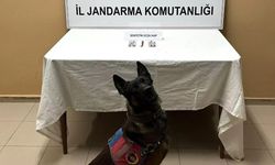 Uyuşturucu hapla yakalanan 3 kişi gözaltına alındı