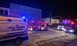 Çorum'da fabrikada çıkan yangın büyümeden söndürüldü