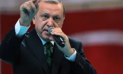 Hükümet milyonların yüreğini yakan konu için harekete geçti