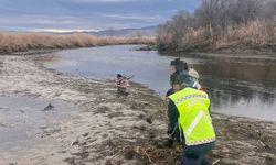 Ördek avlarken çamura saplandı