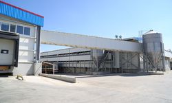 OSB'ye yumurta fabrikası kuruluyor