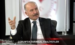 'Tarımda marka şehir olmaya aday iliz'
