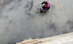 Misinaya takılan karabatak böyle kurtarıldı