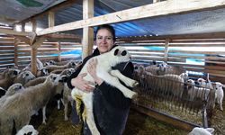 Şehir hayatından sıkılıp köyüne döndü, sürü sahibi oldu