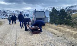 Vücudunun kafa kısmı bulunamadı