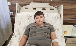 Çorum'da köpeklerin saldırdığı çocuk hastaneye kaldırıldı