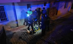 Demir korkulukları yıkarak bahçeye düştü