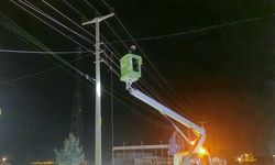 Kamyon, elektrik ve telefon hatlarına zarar verdi