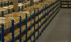 Dünyanın en büyük kasası! 60 ülkenin altınları burada tutuluyor