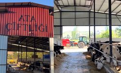 Çorum'da bu çiftlik ‘Arilik Sertifikası’ aldı