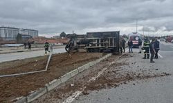 Hayvan yüklü kamyonet aydınlatma direğine çarptı