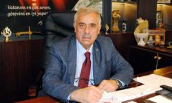 Çapraz sigara denetimlerine esneklik istedi