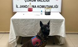 Uyuşturucu operasyonunda 1 kişi yakalandı