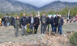 Kargı'da 250 fidan toprakla buluştu