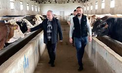 Genç besici alın terinin bereketini mazlumlarla paylaştı