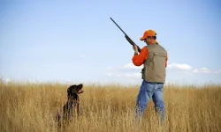 Av yasağı başladı