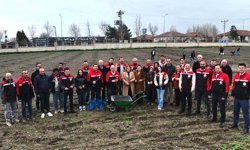 Müdürlük bahçesine bağ tesisi kuruldu