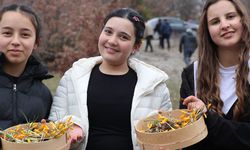 Hititlerden kaldığı düşünülen "Çiğdem Gezmesi" etkinliği düzenlendi