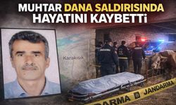Çorum'da dananın saldırısına uğrayan muhtar hayatını kaybetti