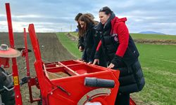 Yerli ve milli ‘kirve’  Çorum topraklarında