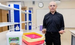 Çorumlu öğretim üyesi ceviz kabuğundan kedi kumu üretti