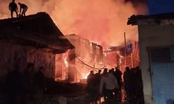 Aşağı Şeyhler köyünde iki ev tamamen yandı