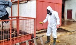 Çiftlikteki gaz sızıntısı ihbarı ekipleri harekete geçirdi