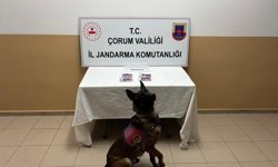 Uyuşturucu operasyonu: 3 şüpheli yakalandı