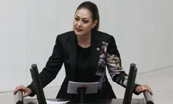 MHP'den kritik hamle: Kanun teklifi verdiler