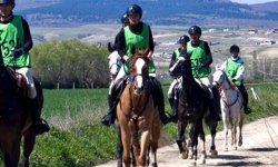 Dev yarış Çorum’da koşuldu