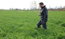 Tarlalarda hastalıkları yapay zekayla tespit edebilen yazılım geliştirildi