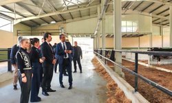 102 baş kapasiteli süt üretim tesisi tamam