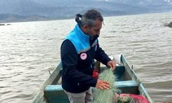 Gölde 800 metre balık ağı ele geçirildi