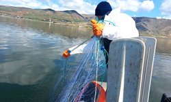 Obruk'ta 7 bin 200 metre misina ağı ele geçirildi